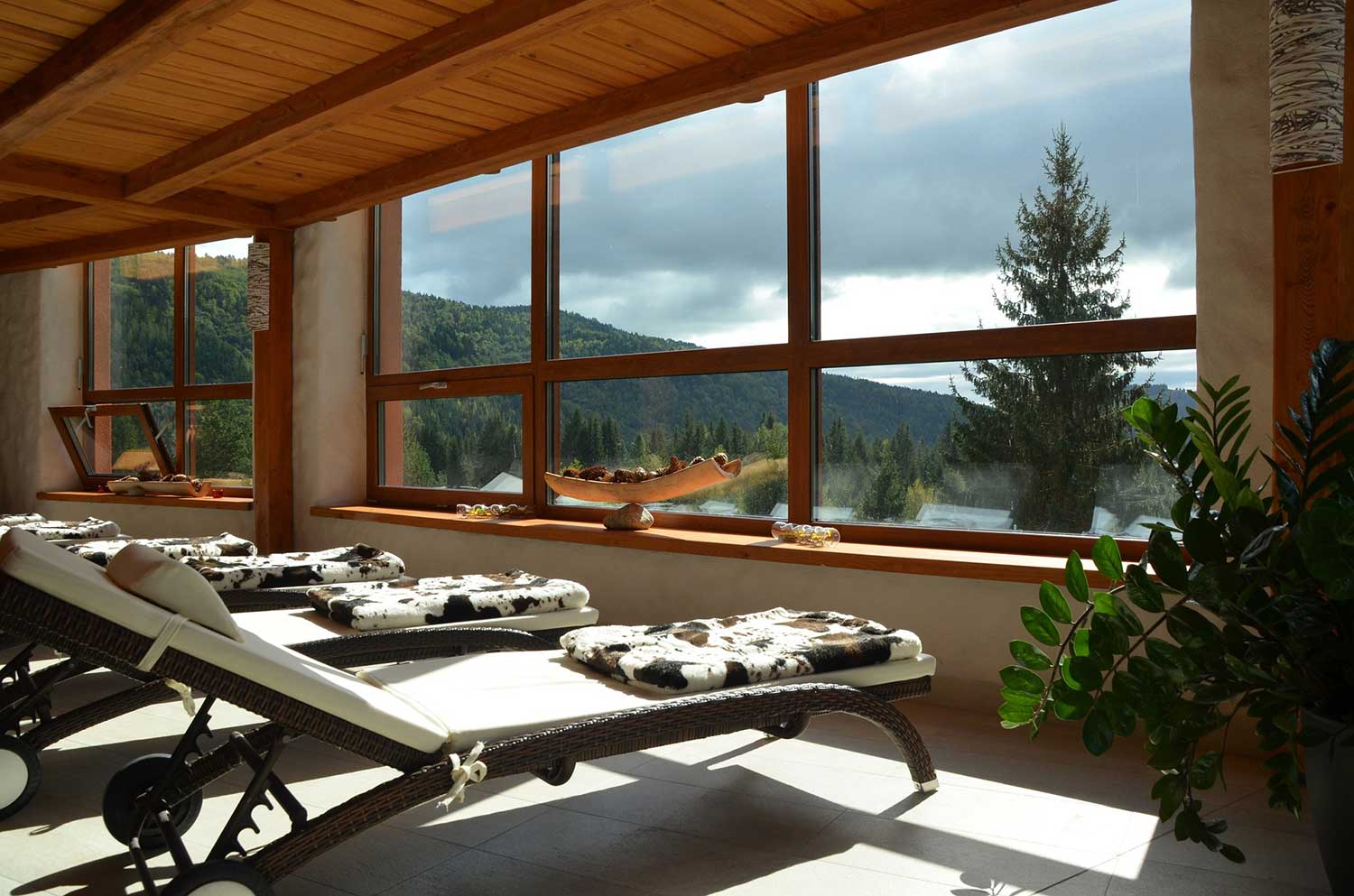 Ozonosoluzioni.it - Casa benessere e salute - Palestre strutture sportive e centri benessere - 03